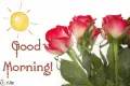 Good morning