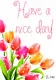 have a nice day
