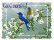 Good morning