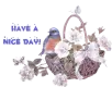 Have a nice day!