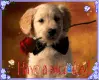Have a nice day!