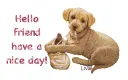 Hello friend,have a nice evening!