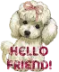 Hello friend