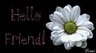 Hello friend