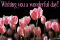 Wishing you a wonderful day!