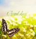 Good day!