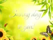 Sunny day!