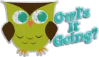 owls it going