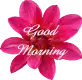 Pink flower with Good Morning