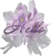 Sparkly Iris with word Hello