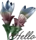 Flower Hello