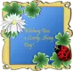 Wishes