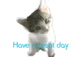 Have a great day