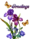 Flowered Greetings