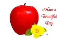 Apple with rose