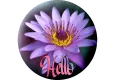 Hello on a flower button