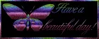 Have a beautiful day
