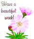 Have a beautiful day                                                                                                                                        a beautiful day