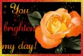 You brighten my day