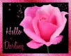 Hello Darling