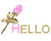 HELLO