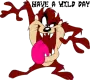 Taz