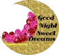 Good Night 