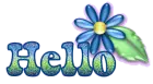 Blue Flower Hello
