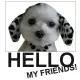 Hello