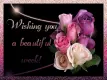 Wishing you a beautiful week