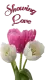Showing Love Flowers