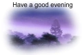 have a good evening 