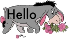 Hello 