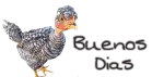 Buenos Dias