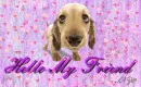 Hello My Friend