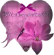 Have a beautiful day