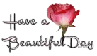 Have a Beautiful day 