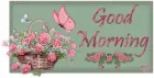 Good Morning