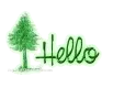 Hello