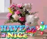 have a nice day