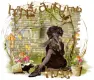 Happy Autumn-hugs