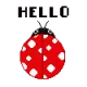 kochee