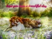 have a beautiful day
