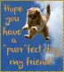 Hope you have a "purr"fect day my friend!