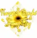 Bright Sunny Day
