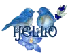 Hello