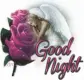 Good Night
