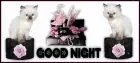 GOODNIGHT