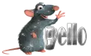 hollo