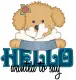 Hello
